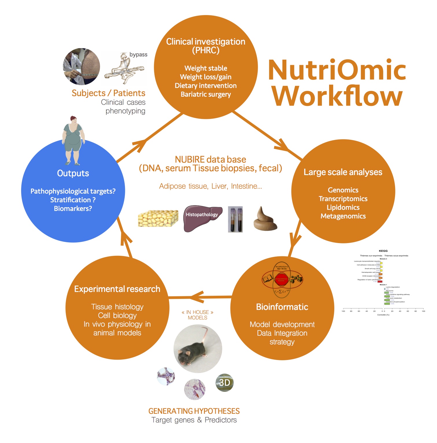 Team Workflow Nutriomics