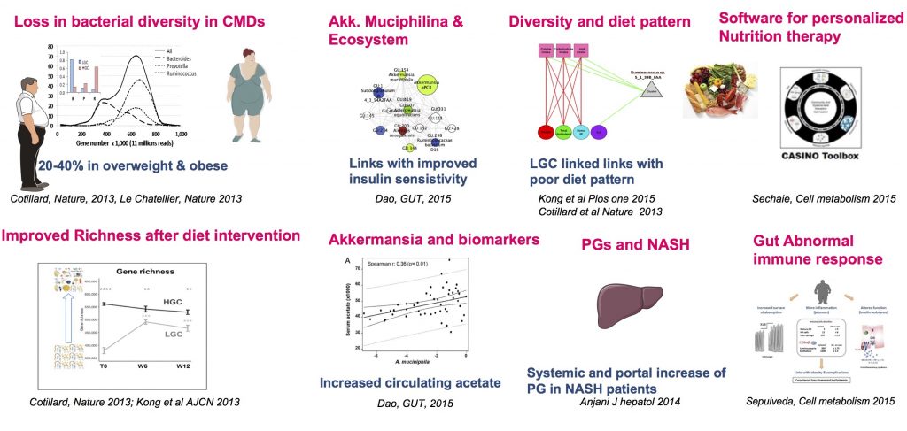 Topic 1 : Progression of obesity and related complications: role of gut microbiota? 