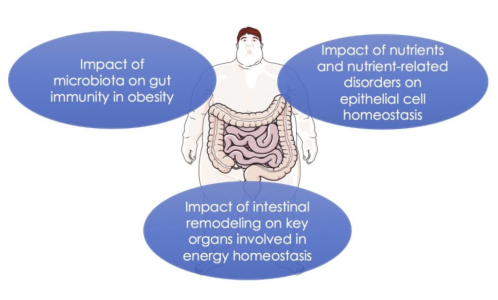 Topic 2: Intestine as a key player in metabolic disorders 